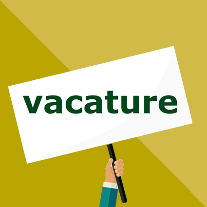 OWL vacature